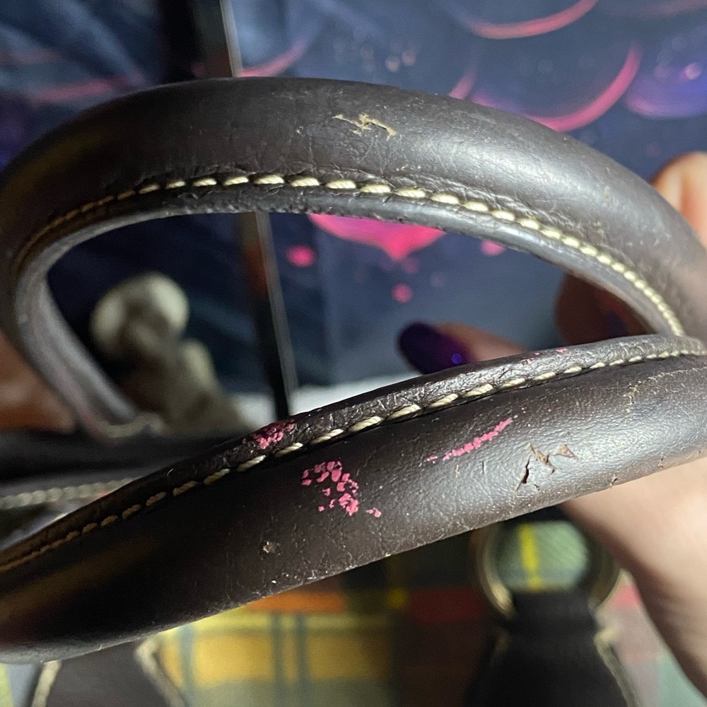 GUC Dooney & Bourke Madre Ladybug Satchel - Picture 7 of 9